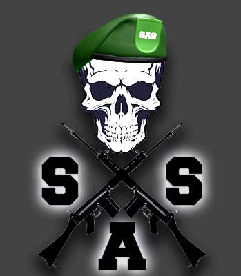sas discord logo