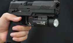 gunslinger_tk_tm_p320